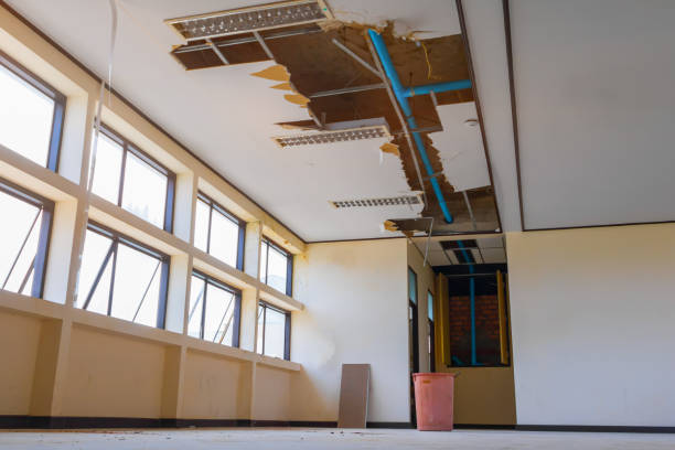 Best Professional water damage repair  in Wrightsville, PA