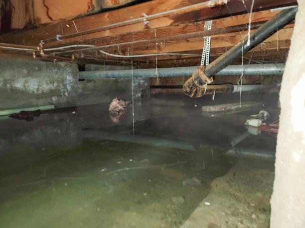 Best Residential water damage restoration  in Wrightsville, PA