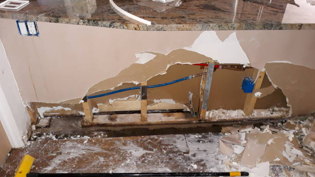 Best Flood damage cleanup  in Wrightsville, PA
