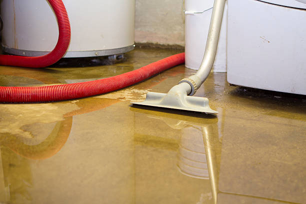 Best Mold removal after water damage  in Wrightsville, PA