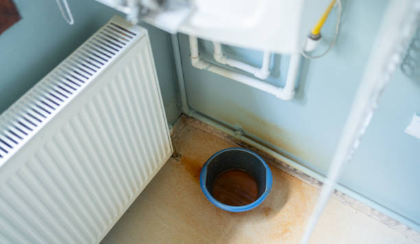 Best Water damage contractors near me  in Wrightsville, PA