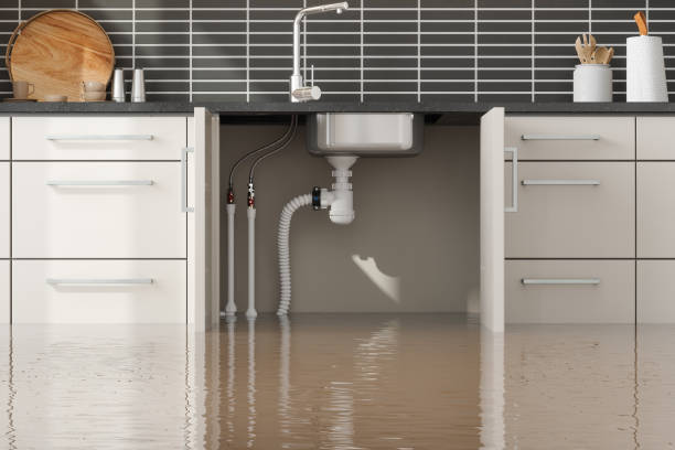 Best Water damage cleanup near me  in Wrightsville, PA