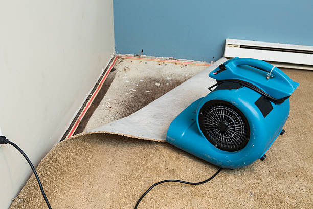 Best 24/7 water damage repair  in Wrightsville, PA
