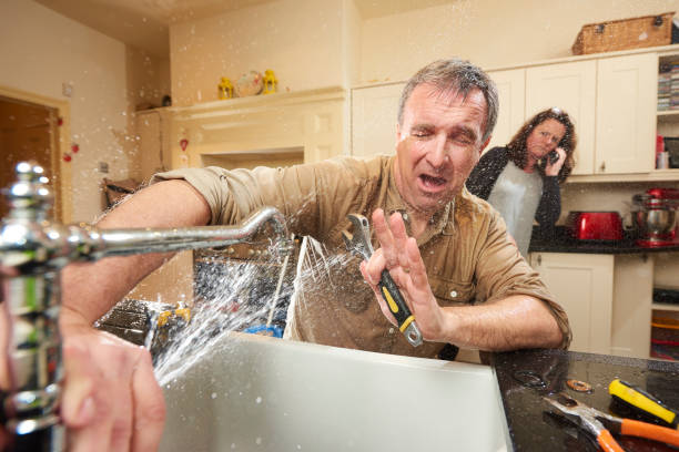 Best Water damage restoration mold remediation  in Wrightsville, PA